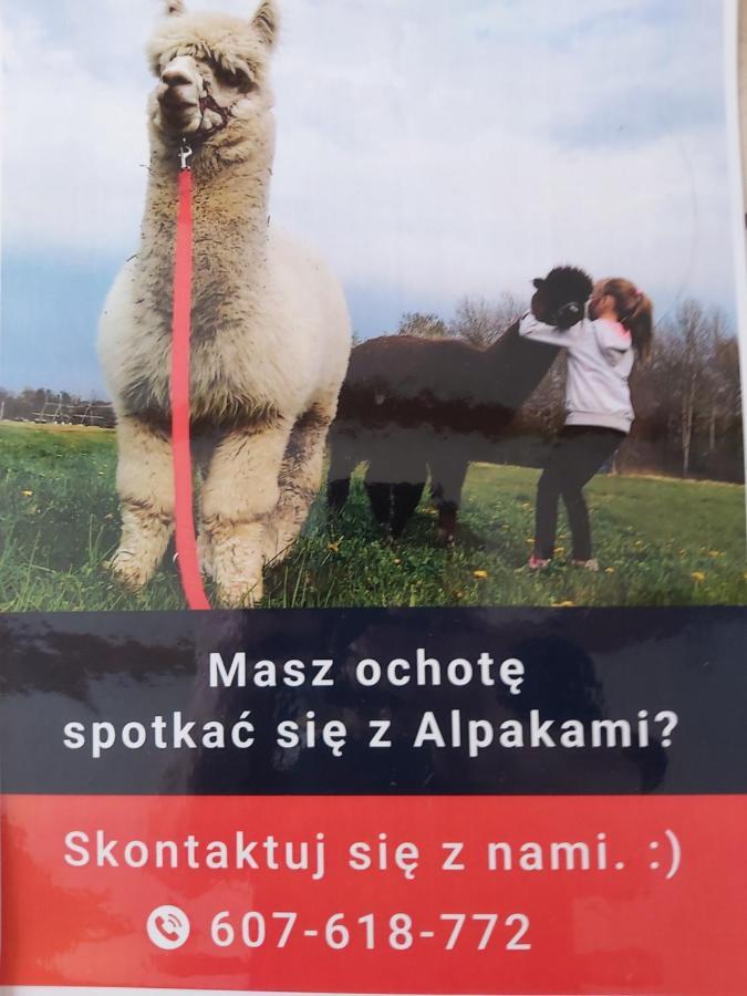 Apartamenty Smaczek Gołdap Esterno foto