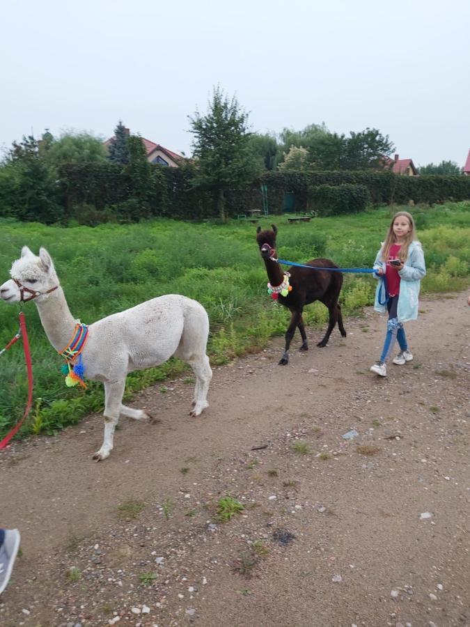 Apartamenty Smaczek Gołdap Esterno foto