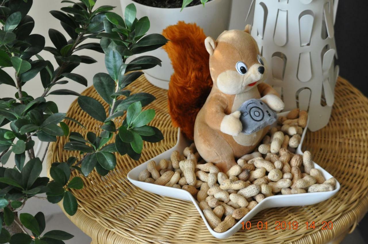 Apartamenty Smaczek Gołdap Esterno foto